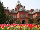 【観光画像】北海道庁旧本庁舎(赤レンガ)