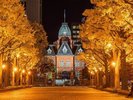 北海道庁旧本庁舎(赤レンガ)11月