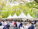 大通公園 9月中旬〜10月上旬さっぽろオータムフェスト