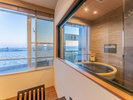 �m�a���_���a�m���n30�u�@�M�y�Ĕ��I�V���C�t�@