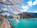 �������Α唞�㒓�ԏꂩ��̐�i��ΔȎU��A��N4����{���牺�{�ɍ����y���߂�B�z�e������ԂŖ�40���B
