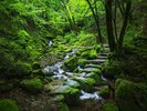 �y���b�N�K�[�f���z����̑ꂩ�爻�L�̑�܂Ŗ�1.5km�����A���̎U���H�B