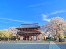 【当館から車で10分】日蓮聖人入滅の地「池上本門寺」