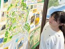 ���R������MAP