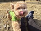�����������Ƃ̂��؍݃C���[�W