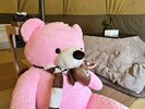 ���Z�������@�i�`�������e���g�ɐV�������Ԃ��o��I�I