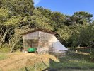 ◆ワンちゃんルーム(スイートテント) ※テントは2種類ございますが、お部屋はホテルにお任せとなります