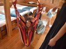 コテージにはハンモックがあり、お子さまに大好評いただいております♪