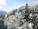 五箇山荘前の橋からの景色