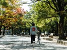 平和記念公園