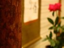 《桂》 坪庭のある和室