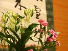 《橘》和モダンな二間続き