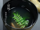 《留椀》清流仕立て