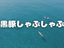 黒豚しゃぶしゃぶ