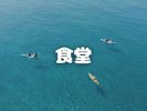食堂