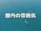 館内の雰囲気