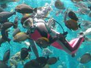 【周辺観光】箱根園水族館