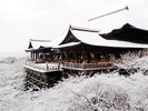 舞台が有名な清水寺(バスで30分)