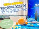 �y�}�������[���z�������[���h�������ܐ�����1������������t��