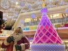 �A�~���L��F�N���X�}�X�}�[�P�b�g