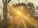 �y�{��/�~�n���z�������C�������C�C�B���U���ɂ��œK�ł�