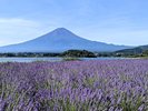 大石公園・宿から車で約20分