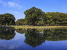 代々木公園 写真提供:(公財)東京観光財団
