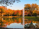 代々木公園(秋シーズン)
