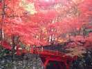 紅葉の横蔵寺へ車で約75分