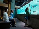 AOAOSAPPORO 水族館画像1