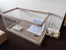 ドッグダブルルーム