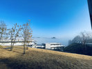 雲海