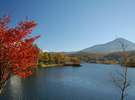 秋の紅葉の時期の白樺湖。温泉と一緒にいかがですか？