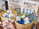 奈良郡山名物♪金魚ラムネ&酒粕ジェラート販売中