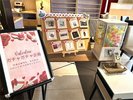 季節のイベントに合わせたウェルカムギフト【チョコガチャ】