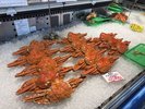 【北のグルメ】 市場でお土産も購入可能