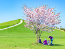 モエレ沼公園