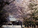 北海道神宮