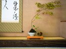 お部屋に置かれた小物もお客様をお迎え