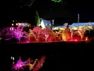 夜桜ライトアップ