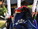 【鹿踊】岩手県を中心に東北各地で脈々と受け継がれてきた郷土芸能