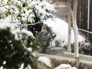 *【露天風呂】露天風呂(雪景色)