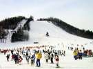 草津国際スキー場 天狗山ゲレンデ