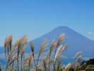 海石榴から車で約30分。箱根仙石原高原から望む秋晴れの富士山。 