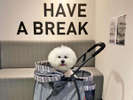 HAVE A BREAK♪