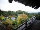 清水寺紅葉 三重塔から 塔の上からの眺めは絶景です