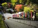清水寺紅葉 安来市内のどこよりも早く紅葉します