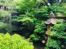 夏の庭園