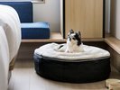 Dog Friendly Room�F�����ƈꏏ�ɒn������闷���B