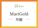 �yMarigold�z�O��